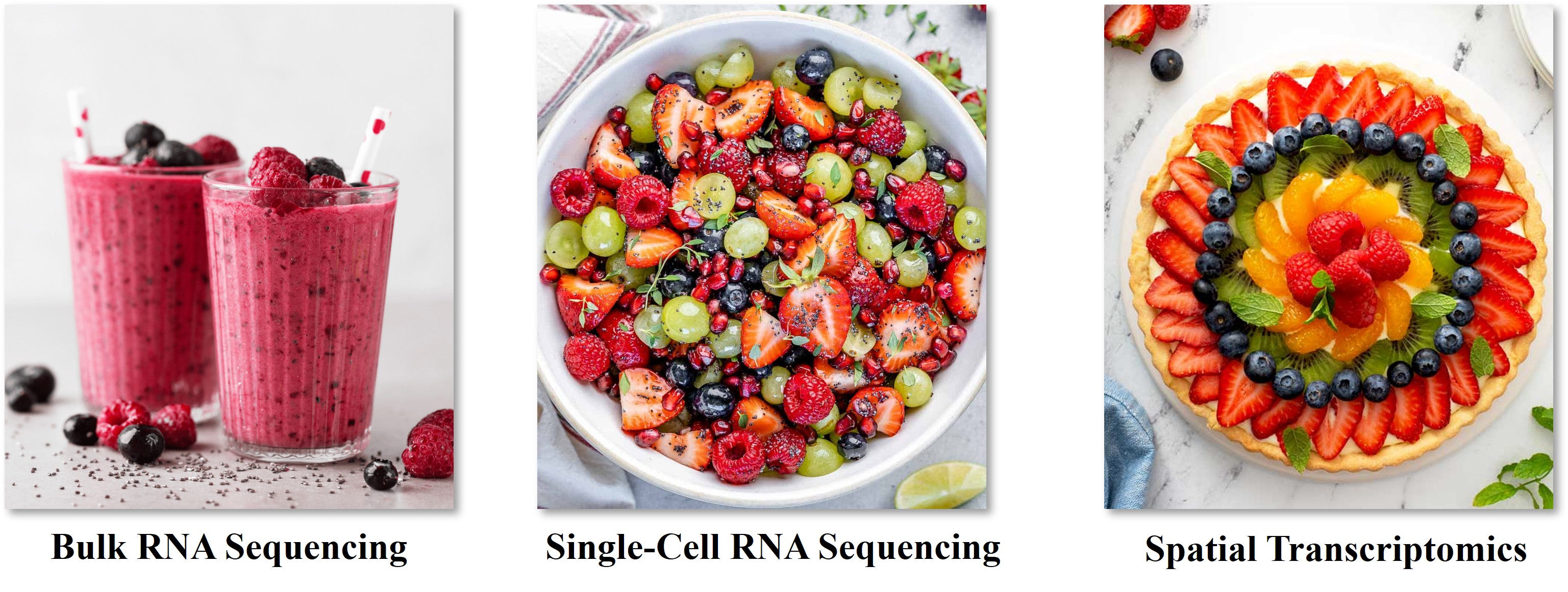 Comparison of bulk RNA sequencing, single-cell RNA sequencing, and spatial transcriptomics using fruit analogies